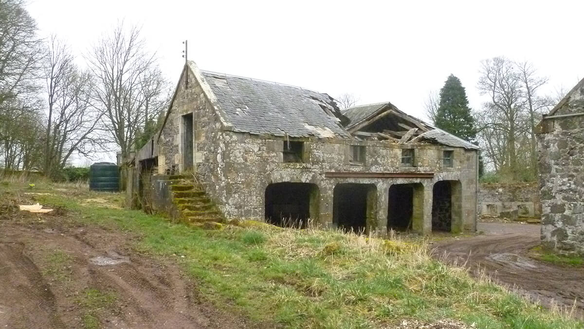 Thomanean 4 AGB - Thomanean